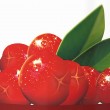 Poznaj owoce aceroli – jedno z najbogatszych źródeł aktywnej witaminy C