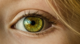 Czy kolor oczu wpływa na ryzyko wystąpienia wad wzroku? Zdrowie, LIFESTYLE - Szacuje się, że blisko 90 proc. osób posiada brązowy kolor oczu, 7 proc. zielony, 2 proc. szary, natomiast 1 proc. niebieski. Określona barwa uzależniona jest od czynników genetycznych oraz obecności w tęczówce oka pigmentu – melaniny.